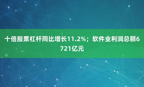 十倍股票杠杆同比增长11.2%；软件业利润总额6721亿元